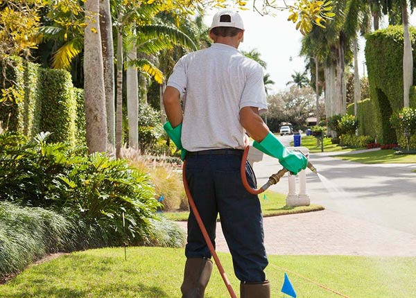 About East Granby CT Pest Control